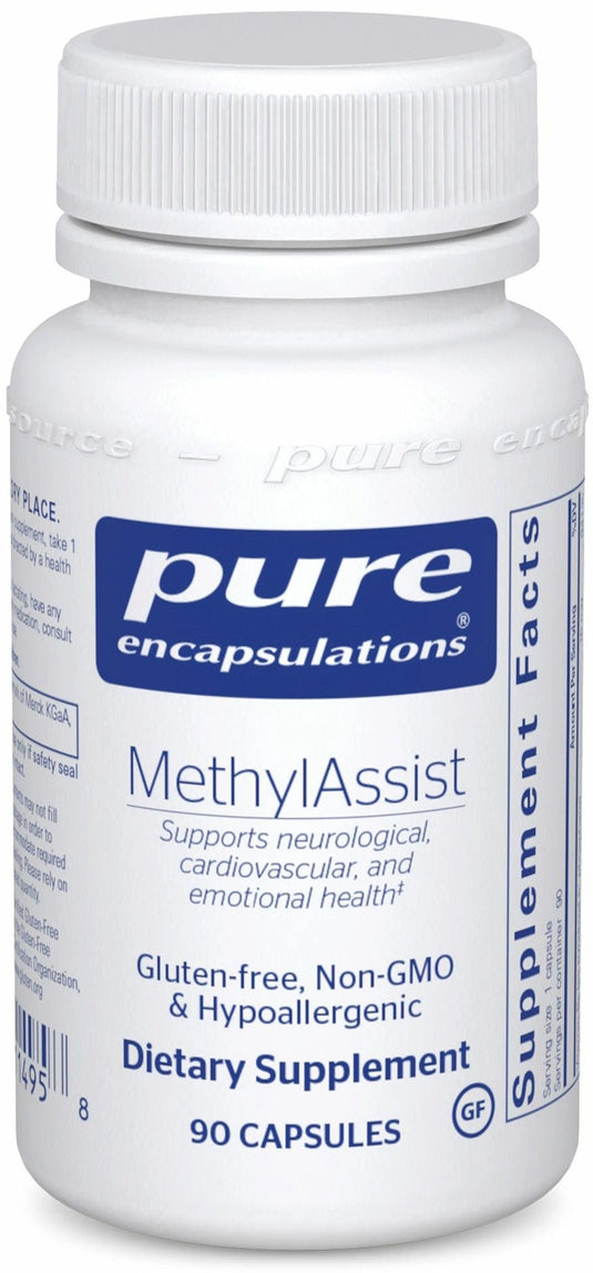MethylAssist