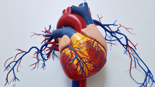 8 Heart Health Facts Your Doctor May Not Have Told You