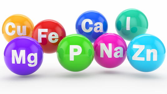 Critical Nutritional Foundations: Mineral Balance