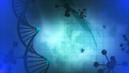 The Importance of Methylation and How to Support It