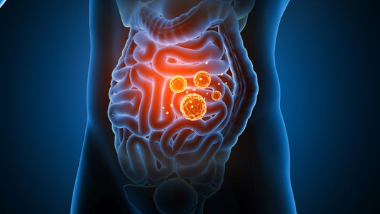 The Hidden Link Between Gut Health and Inflammation