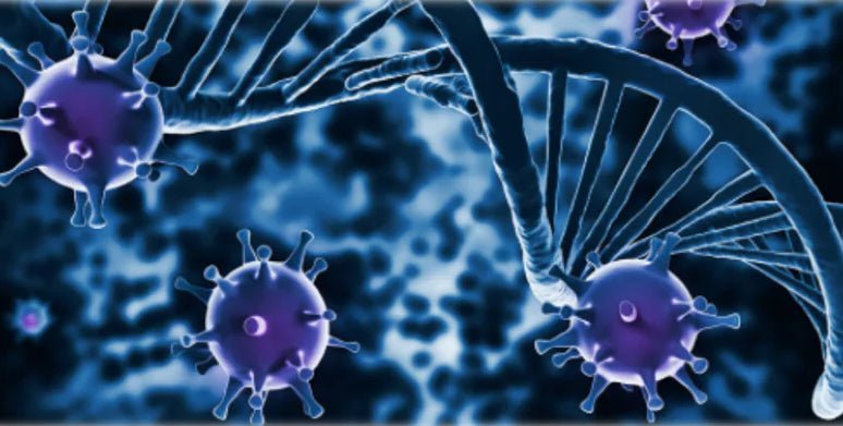 How to Build and Maintain a Strong Immune System – Solutions 4 Health