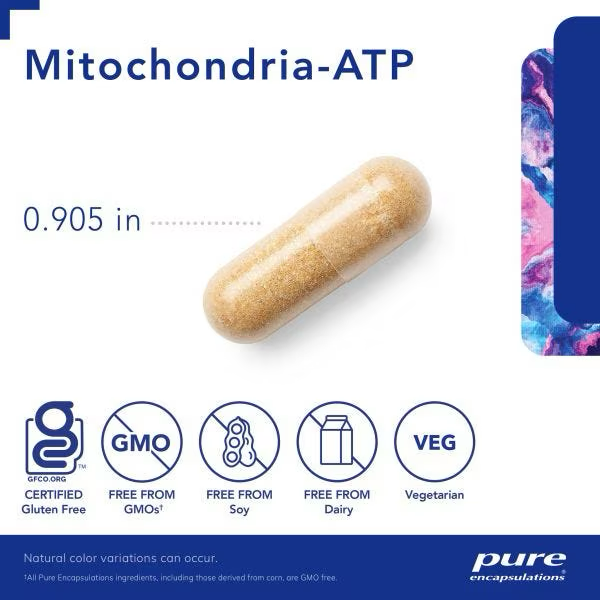 Load image into Gallery viewer, Mitochondria-ATP
