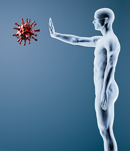 Optimze Your Immune System Webinar